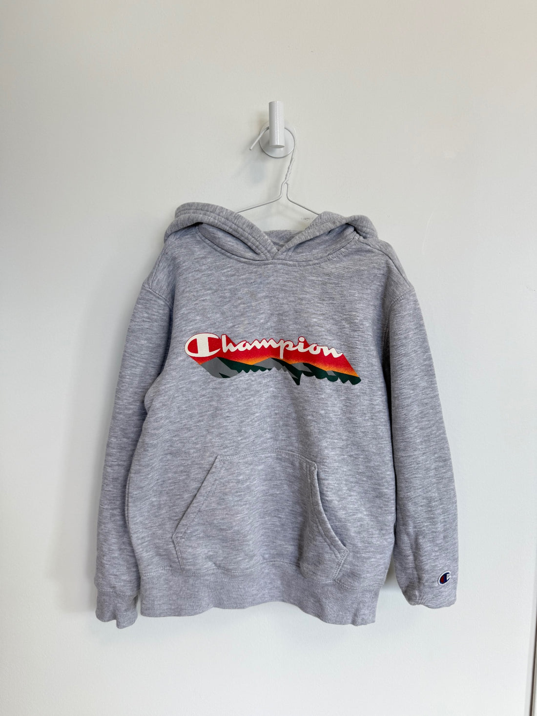 Champion Hoodie Small Grey