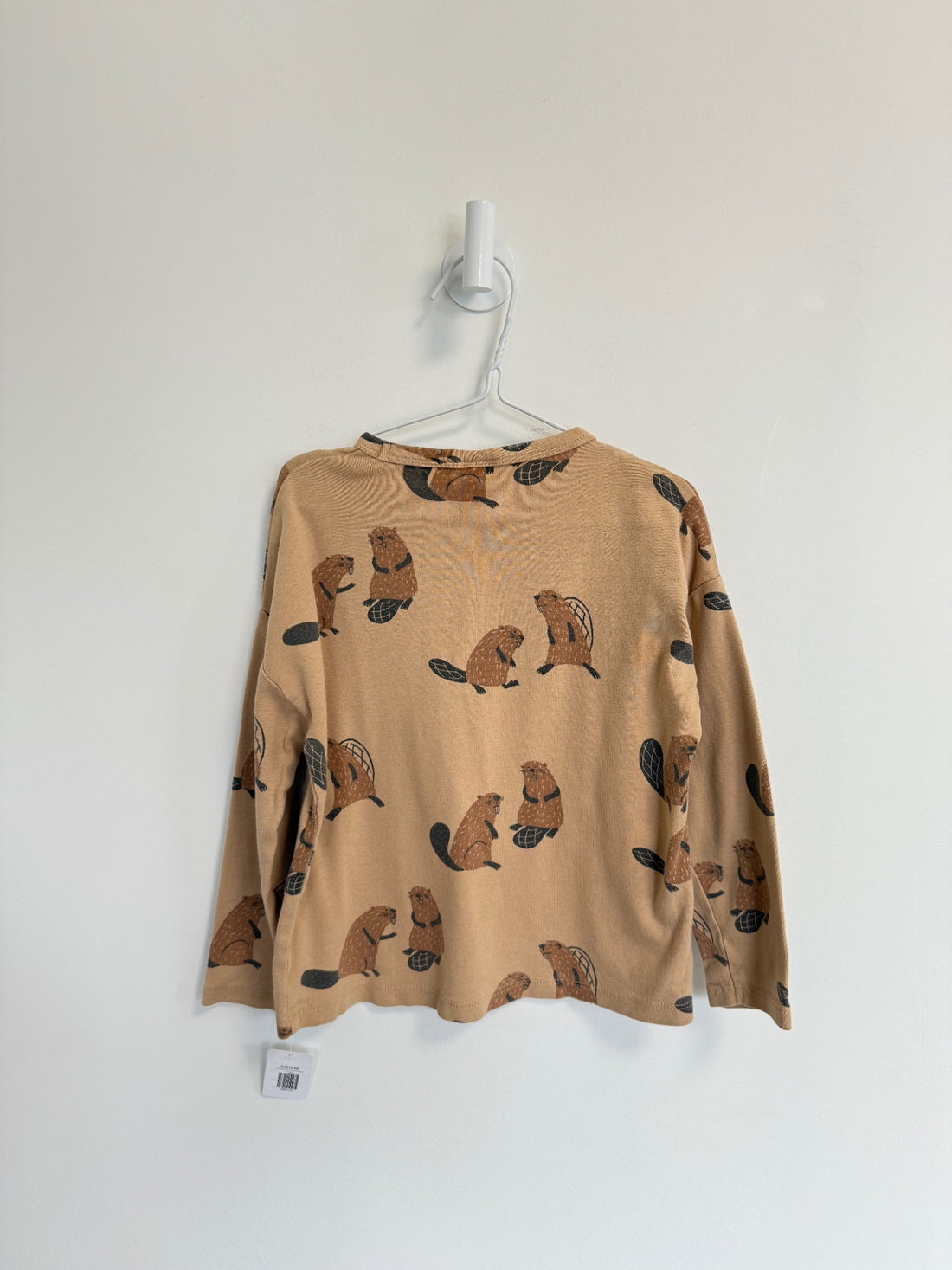 Zara Top 4-5 years Beavers