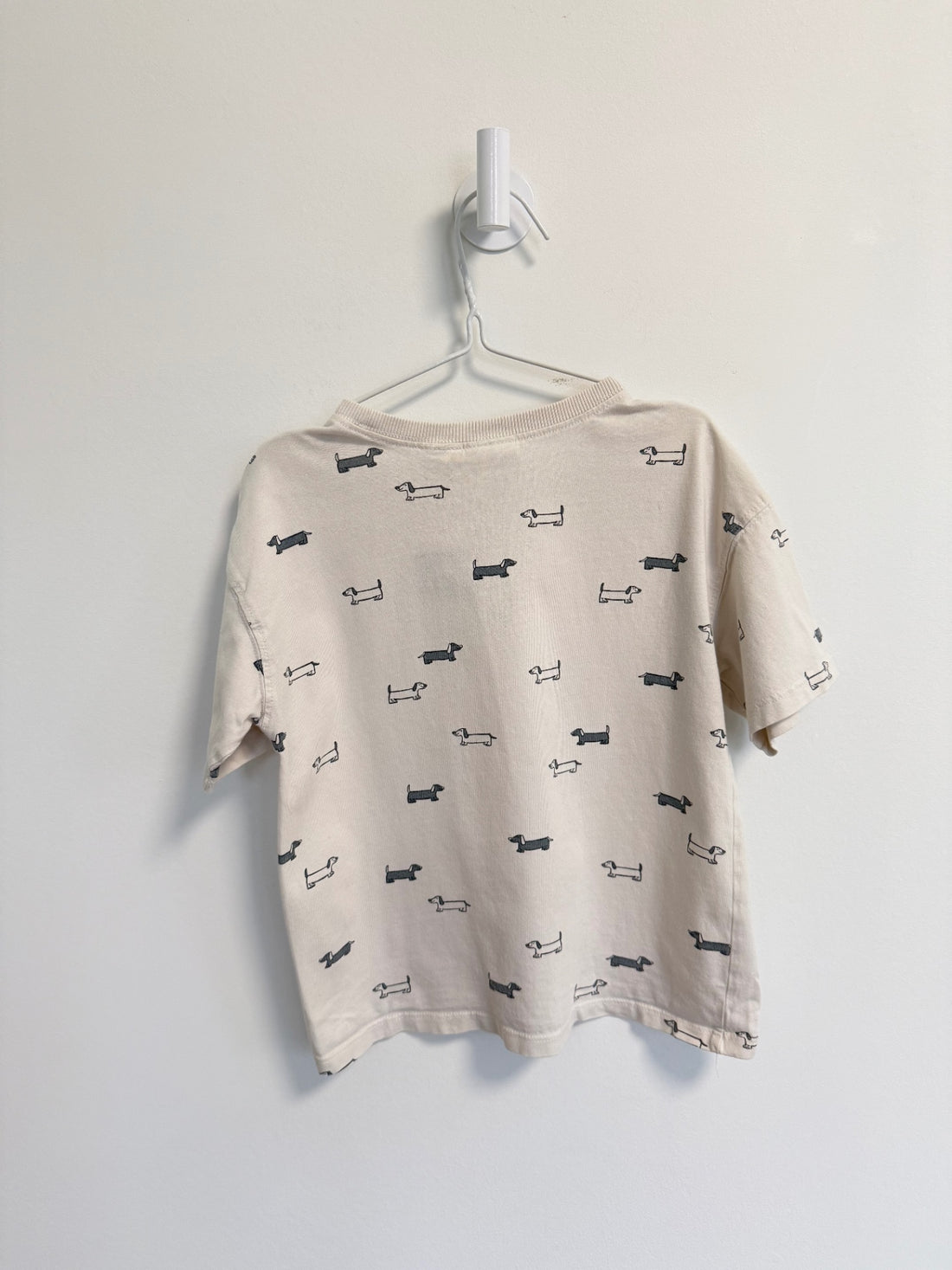 Zara T-Shirt 5 years Cream with Dogs