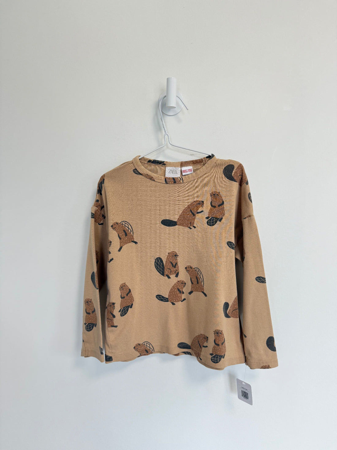 Zara Top 4-5 years Beavers