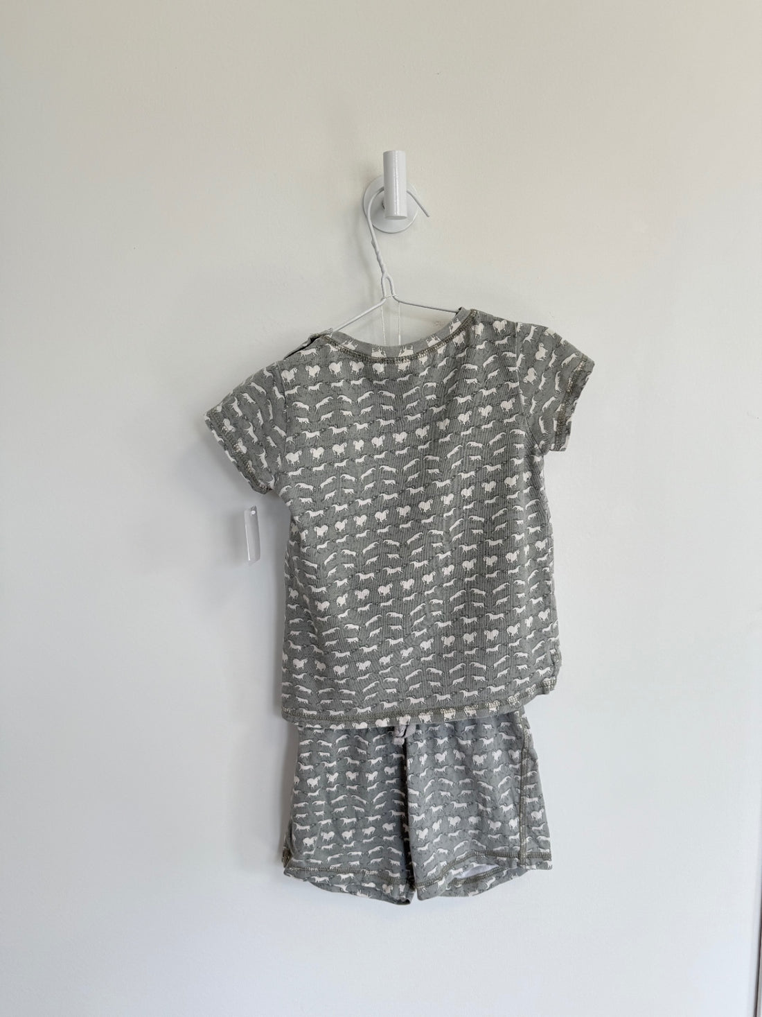 WHEAT 2 piece set 2 years Greay horse