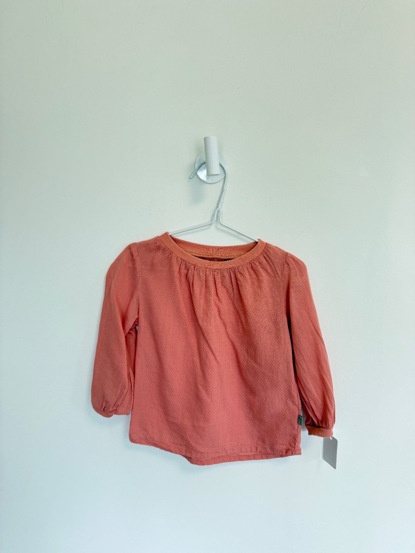 WHEAT Top 12 months Pink