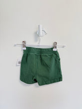 Roots Shorts 6-12 months Green