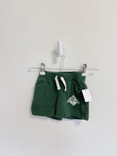 Roots Shorts 6-12 months Green
